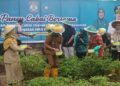 Peringati HKG PKK ke-25, PKK Balikpapan Gelar Aksi Tanam dan Panen Cabai