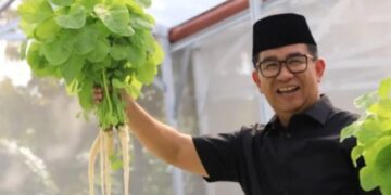 Akmal Malik Panen Perdana Sayuran di Green House Embarkasi Haji Balikpapan