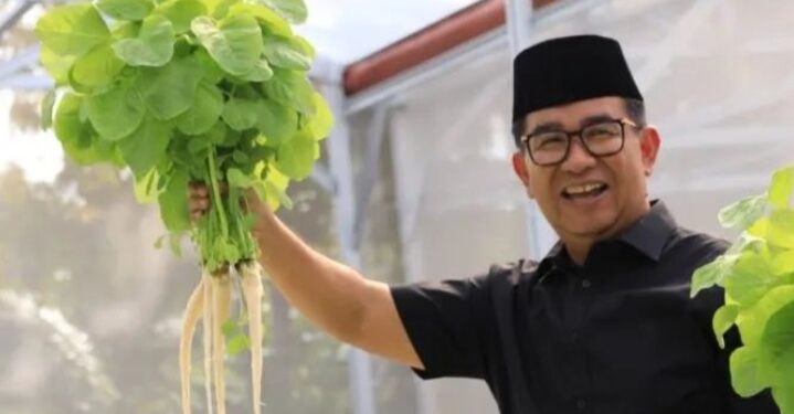 Akmal Malik Panen Perdana Sayuran di Green House Embarkasi Haji Balikpapan