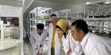 Dukung Ketahanan Pangan di IKN, Billy Mambrasar Luncurkan Program Petani Milenial Kaltim