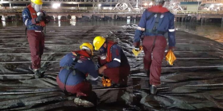 10.499 Ton Bungkil Sawit Senilai Rp 55 Miliar Dari Kaltim Diekspor ke Korsel