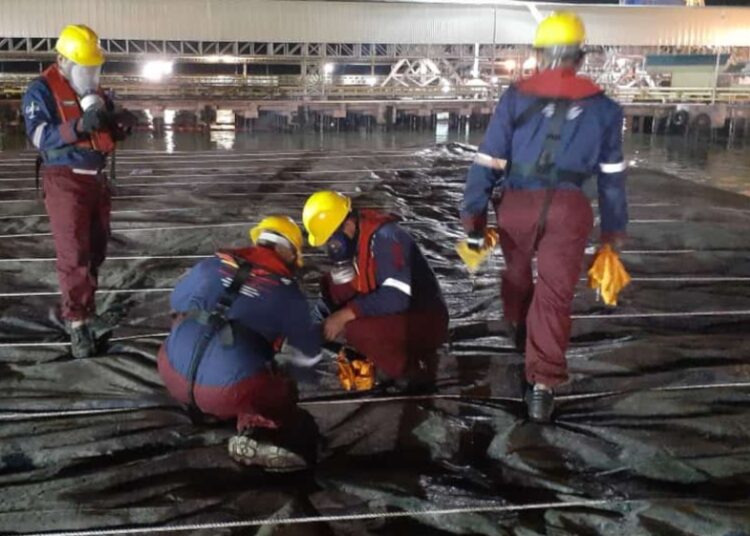 10.499 Ton Bungkil Sawit Senilai Rp 55 Miliar Dari Kaltim Diekspor ke Korsel