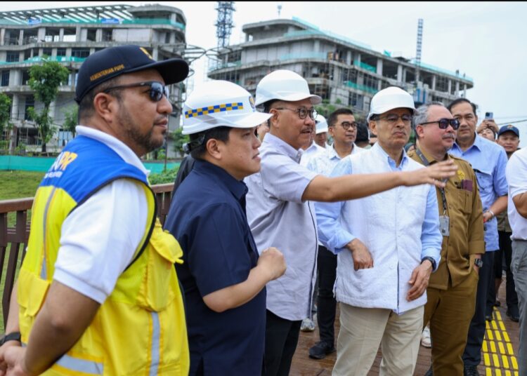 Pengusaha dari Uni Emirat Arab Sambangi IKN