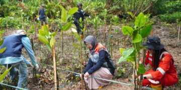 PT KPI Unit Balikpapan Tanam 300 Pohon Mangrove untuk Dukungan Program Kampung Iklim