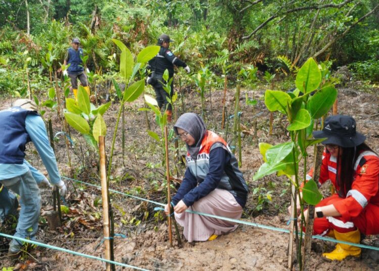 PT KPI Unit Balikpapan Tanam 300 Pohon Mangrove untuk Dukungan Program Kampung Iklim