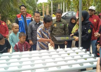 Pelatihan pertanian berbasis hidroponik di Panti Asuhan Al-Ikhlas, Nenang, Kabupaten Penajam Paser Utara (PPU) pada Sabtu, 7 September 2024. (Foto : istimewa)