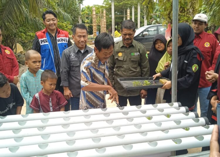 Pelatihan pertanian berbasis hidroponik di Panti Asuhan Al-Ikhlas, Nenang, Kabupaten Penajam Paser Utara (PPU) pada Sabtu, 7 September 2024. (Foto : istimewa)