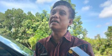 Andi Singkeru. (Foto : istimewa)