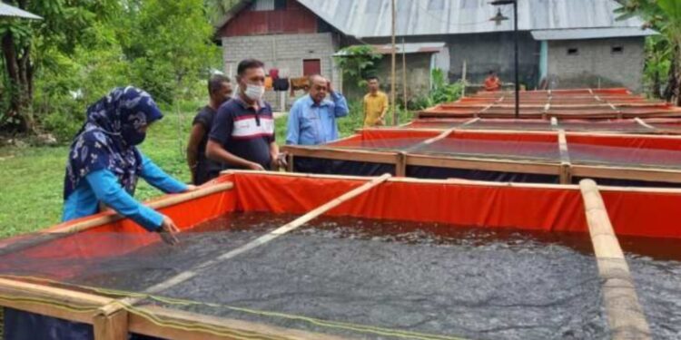 Dinas Perikanan (Diskan) Kabupaten Penajam Paser Utara (PPU) berkomitmen untuk mendukung keberhasilan budidaya ikan di Benuo Taka melalui penyediaan sarana dan prasarana (sarpras) yang memadai. (Foto : istimewa)