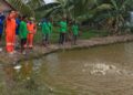 Pemkab PPU fokus pada pengembangan kampung budidaya ikan guna memastikan ketahanan pangan di wilayah Benuo Taka. (Foto : istimewa)