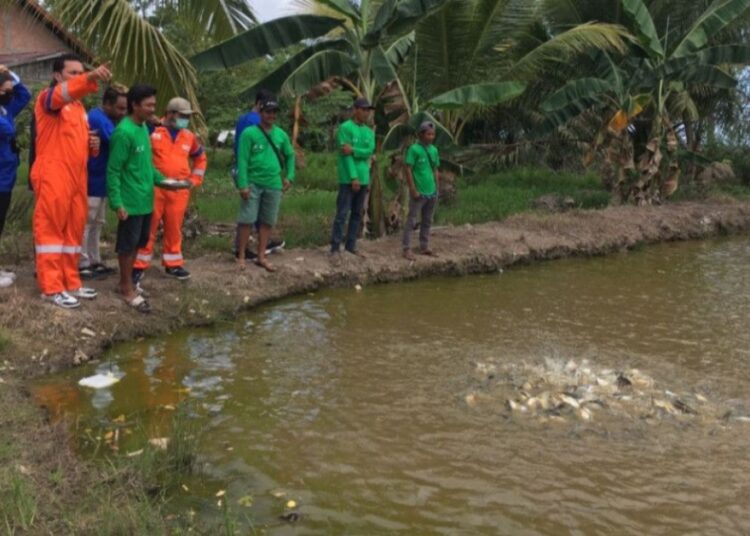 Pemkab PPU fokus pada pengembangan kampung budidaya ikan guna memastikan ketahanan pangan di wilayah Benuo Taka. (Foto : istimewa)