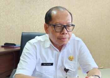 Kepala DLH PPU, Safwana. (Foto : istimewa)