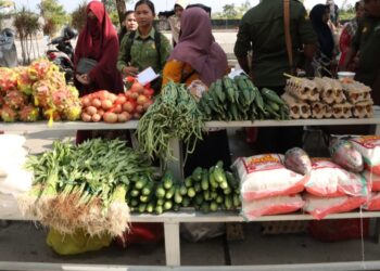 Operasi pasar ini akan berlangsung di dua lokasi, yakni di Kantor Lurah Penajam pada 16 Oktober dan di Desa Sesulu pada 18 Oktober 2024. (Foto : istimewa)