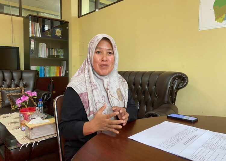 Kepala DPMPTSP PPU, Nurlaila. (Foto : istimewa)
