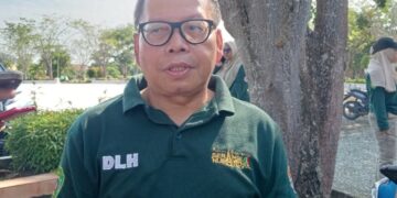 Kepala DLH PPU, Safwana. (Foto : Dokumentasi Seputarkata.com)