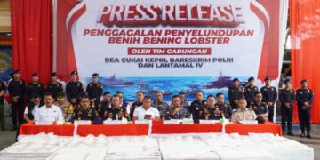 Tim Gabungan Gagalkan Penyelundupan 237.305 Benih Lobster di Perairan Bintan