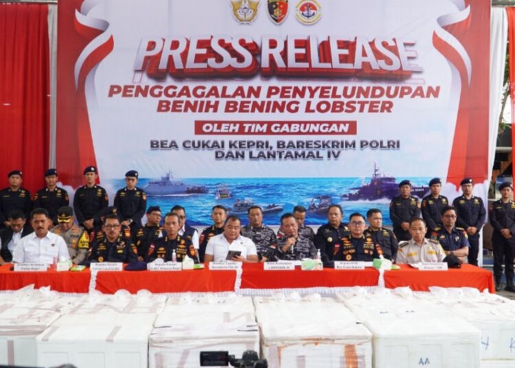 Tim Gabungan Gagalkan Penyelundupan 237.305 Benih Lobster di Perairan Bintan