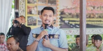 Arisanda