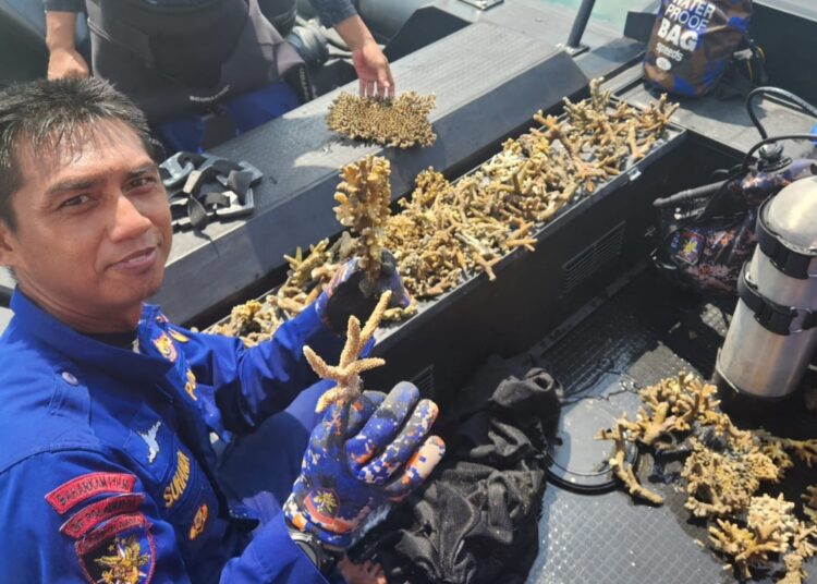 Polairud Polda Kaltim Gelar Transplantasi Terumbu Karang untuk Pelestarian Laut