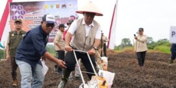 Menghidupkan Lahan Tidur, Transformasi Lahan Eks Tambang di Kalimantan Timur