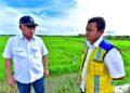 Kepala Otorita IKN Tinjau Daerah Irigasi Rawa Sebakung untuk Dukung Swasembada Pangan Nasional