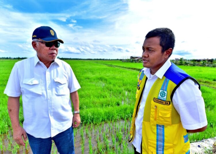 Kepala Otorita IKN Tinjau Daerah Irigasi Rawa Sebakung untuk Dukung Swasembada Pangan Nasional