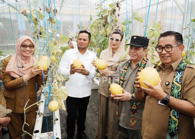 Konsolidasi Pembangunan Kaltim, Pj Gubernur Akmal Malik Tinjau Wilayah Tengah