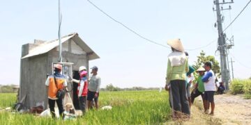 Dukung Tranformasi Pertanian Modern, Electrifying Agriculture PLN Raih 53.539 Pelanggan Baru di Tahun 2024