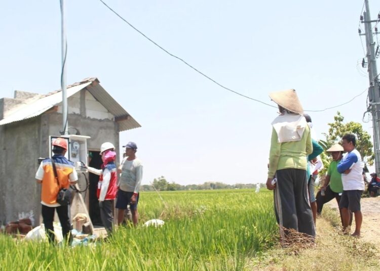 Dukung Tranformasi Pertanian Modern, Electrifying Agriculture PLN Raih 53.539 Pelanggan Baru di Tahun 2024