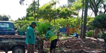 Revitalisasi Taman Tiga Generasi oleh DLH Balikpapan. Ditargetkan Rampung Akhir Februari 2025