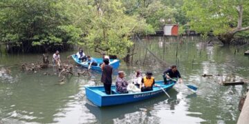 Lurah Aji Syarifah Dorong Inovasi Penelitian Ekosistem Mangrove Margo Mulyo