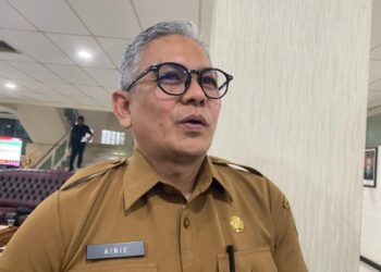 Plt Kepala BKPSDM PPU, Ainie.