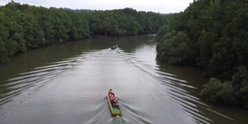 Pesona wisata mangrove di Teluk Balikpapan