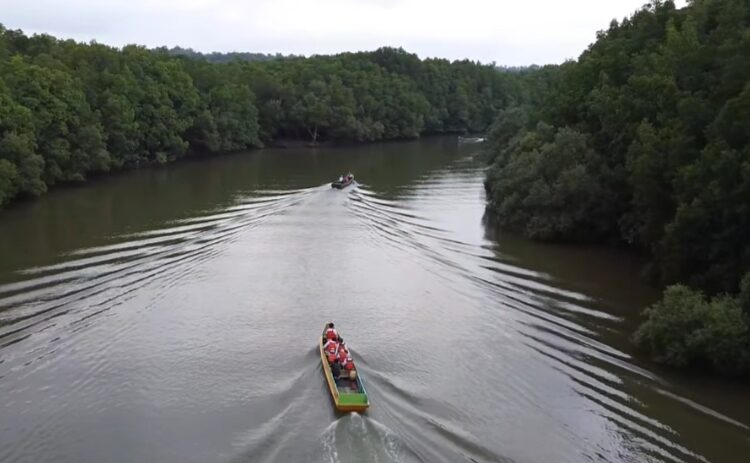 Pesona wisata mangrove di Teluk Balikpapan
