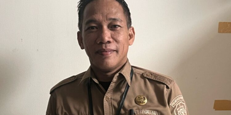 Kepala Bidang Perindustrian Dinas Koperasi, UKM, Perindustrian, dan Perdagangan PPU, Syamsul Adha