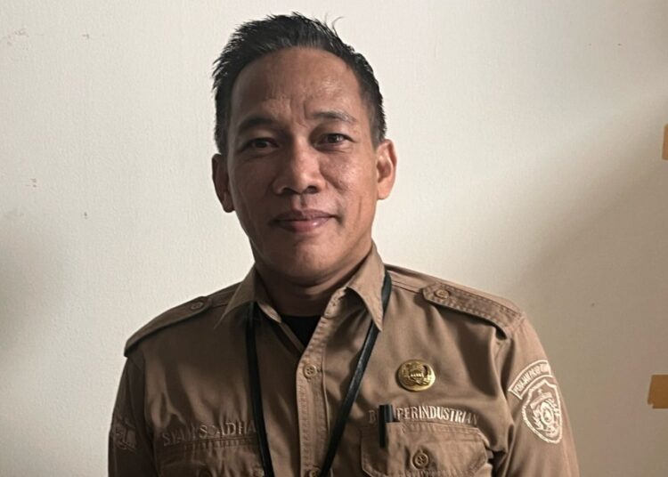 Kepala Bidang Perindustrian Dinas Koperasi, UKM, Perindustrian, dan Perdagangan PPU, Syamsul Adha