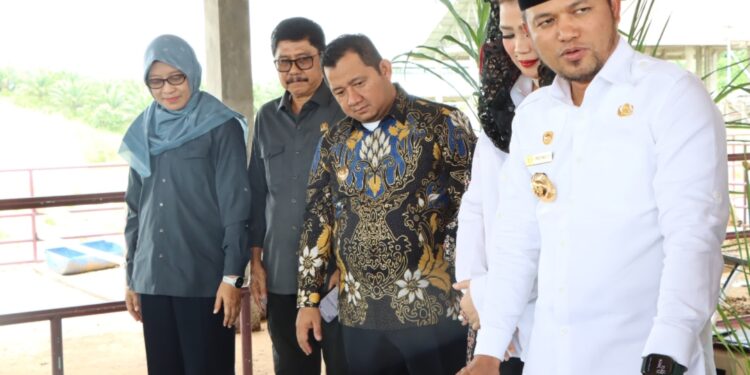 Peresmian kandang Intensive Farming System (INFASY) di Penangkaran Rusa Api-Api, Kecamatan Waru, Kabupaten PPU