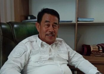 Kepala Dishub PPU, Alimuddin