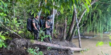 Brimob Sisir Zona Merah Cari Iptu Tomi Marbun di Hutan Moskona Barat