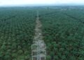 Semangat Hari Kartini, PLN UIP KLT Percepat Proyek SUTT 150 kV Talisayan – Maloy Dengan Bentuk Tim Task Force Khusus