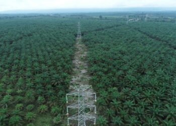 Semangat Hari Kartini, PLN UIP KLT Percepat Proyek SUTT 150 kV Talisayan – Maloy Dengan Bentuk Tim Task Force Khusus