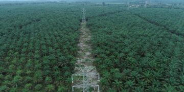 Semangat Hari Kartini, PLN UIP KLT Percepat Proyek SUTT 150 kV Talisayan – Maloy Dengan Bentuk Tim Task Force Khusus