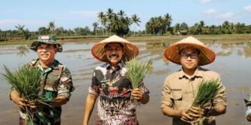 Abdul Waris Muin, melakukan penanaman padi perdana menggunakan pupuk organik nasional (Pornas) pada Kamis, 8 Mei 2025, di Kelurahan Waru, Kecamatan Waru