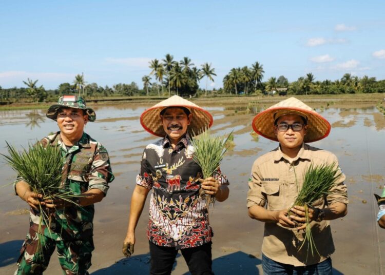 Abdul Waris Muin, melakukan penanaman padi perdana menggunakan pupuk organik nasional (Pornas) pada Kamis, 8 Mei 2025, di Kelurahan Waru, Kecamatan Waru