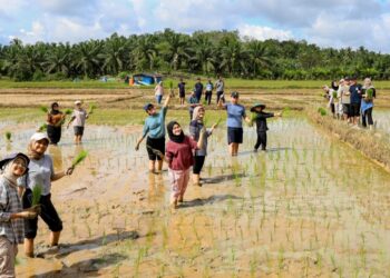 Komunitas Healing di IKN, Menemukan Keseimbangan di Tengah Mimpi Kota Masa Depan