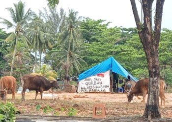 Penjual hewan kurban di kawasan Balikpapan Selatan