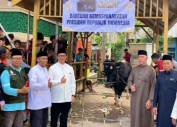 Pemerintah Kota Balikpapan serahkan sapi kurban bantuan Presiden Prabowo