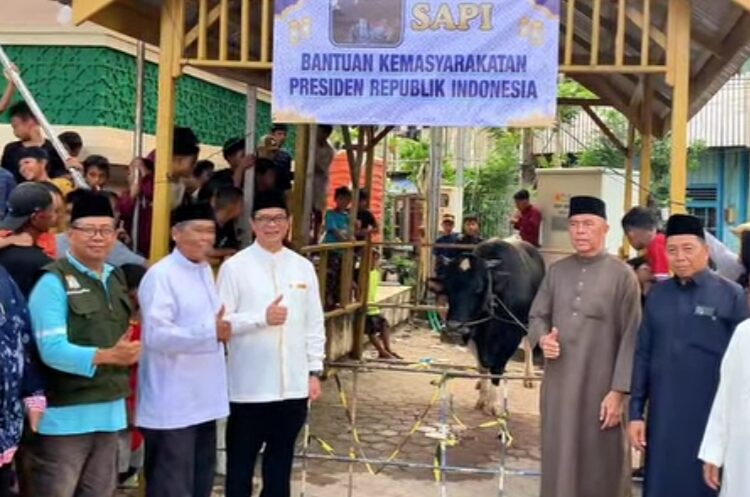 Pemerintah Kota Balikpapan serahkan sapi kurban bantuan Presiden Prabowo