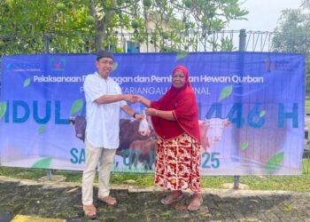 Pererat Kepedulian Sosial, PT KKT Salurkan 7 Sapi Kurban untuk Warga, Karyawan, dan Tiga Panti Asuhan