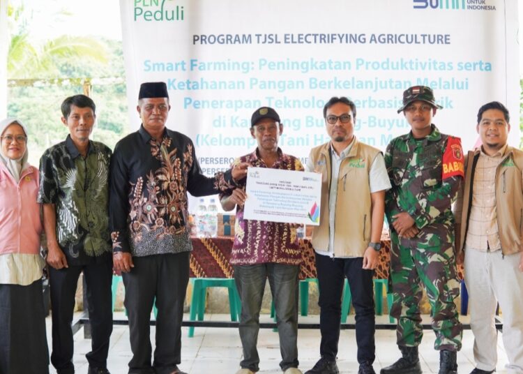 PLN Hadirkan Teknologi Listrik untuk Dorong Smart Farming di Kampung Buyung-Buyung